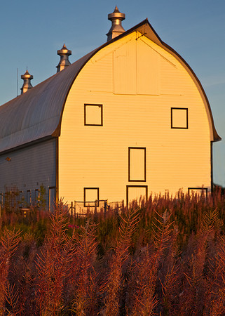 The Barn at Creamer's Field in Fairbanks, Alaska