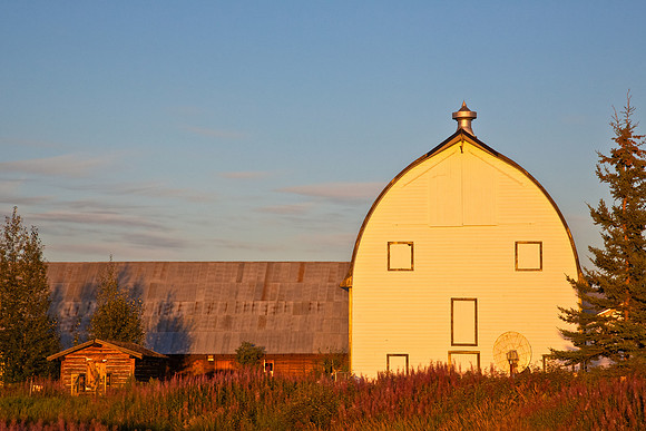 The Barn at Creamer's Field in Fairbanks, Alaska
