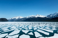 Icebergs in Alaska's Glacier Bay