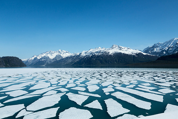 Icebergs in Alaska's Glacier Bay
