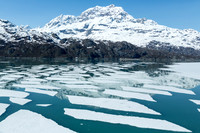 Icebergs in Alaska's Glacier Bay