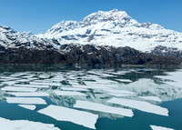 Icebergs in Alaska's Glacier Bay