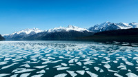 Icebergs in Alaska's Glacier Bay