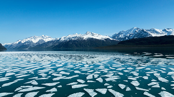 Icebergs in Alaska's Glacier Bay