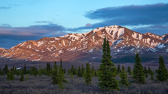 Alaska's Denali National Park
