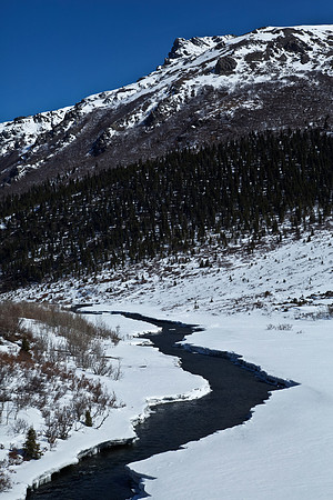 Savage River in Alaska's Denali National Park