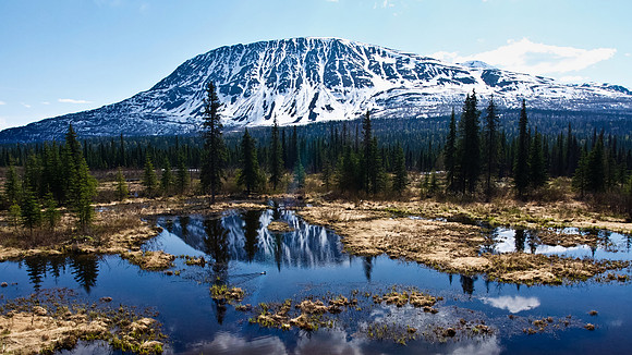 Reflections of Alaska's Wilderness