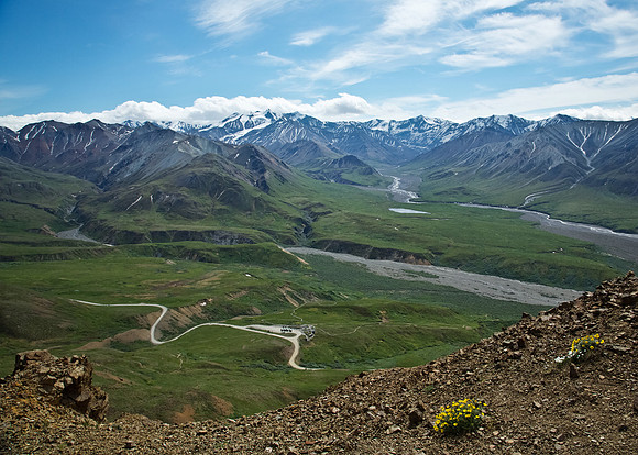 Alaska's Denali National Park