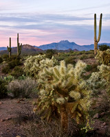 Sunset over Arizona's Lost Dutchman State Park