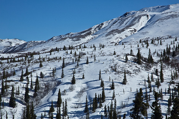 Snow in Denali