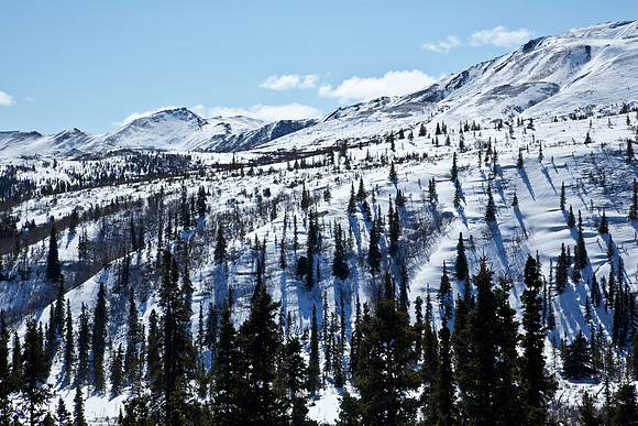 Snow in Denali