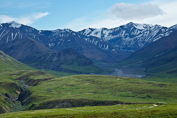 Trails in Alaska's Denali National Park