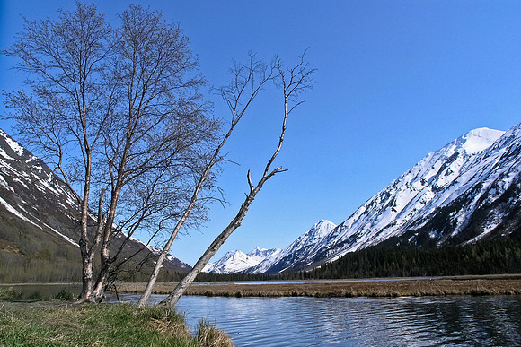Alaska's Tern Lake