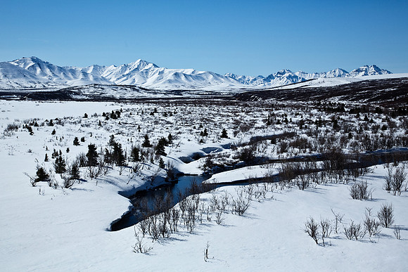 Savage River in Alaska's Denali National Park