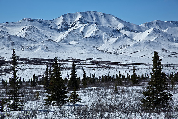 Denali's Hills and Mountains