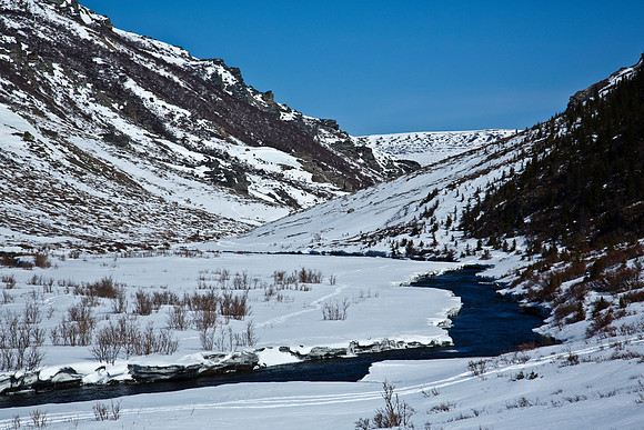 Savage River in Alaska's Denali National Park