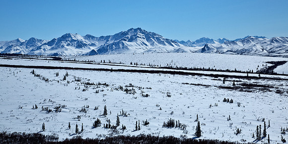 Denali Landscape