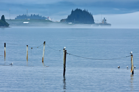Alaska's Valdez Bay