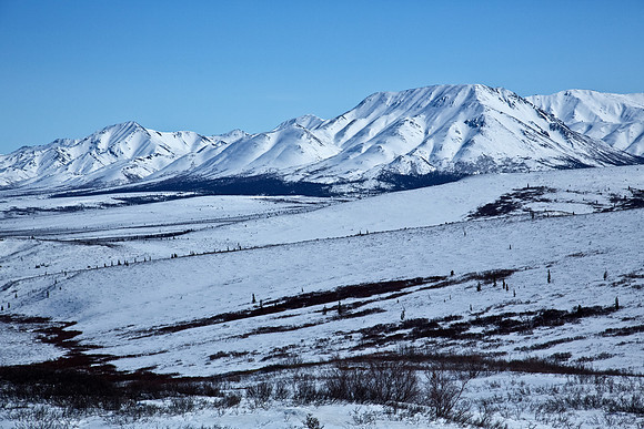 Alaska's Denali National Park