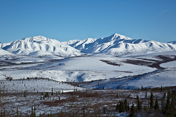 Alaska's Denali National Park