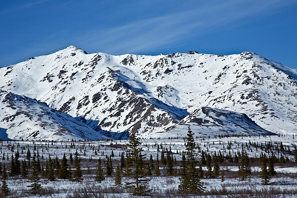 Alaska's Denali National Park