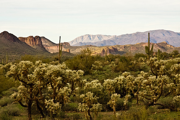 Arizona Landscape