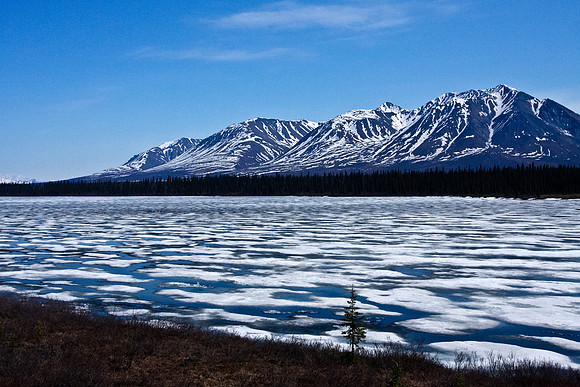 Alaska's Snowy Landscape