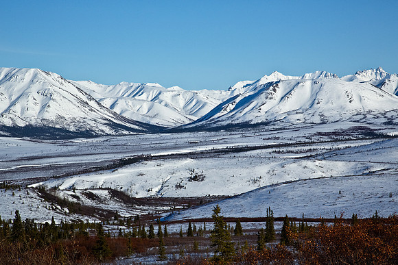 Alaska's Denali National Park