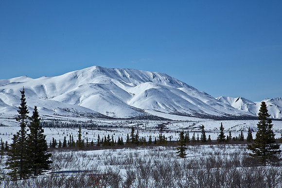 Denali National Park