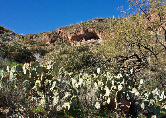 Arizona's Tonto National Monument