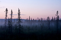 Midnight Sun in interior Alaska's Goldstream Valley