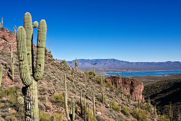 Arizona's Lake Roosevelt