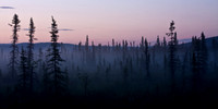 Midnight Sun in Interior Alaska's Goldstream Valley
