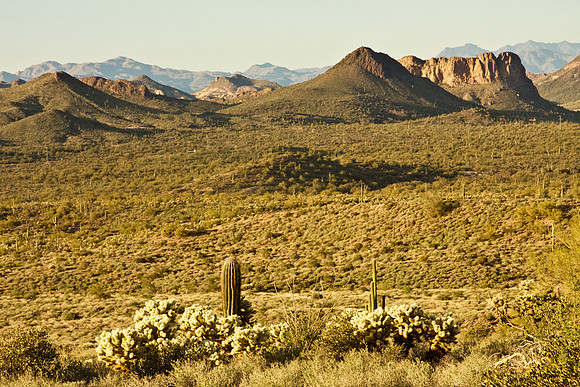 The Superstition Mountains