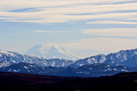 Alaska's Denali National Park