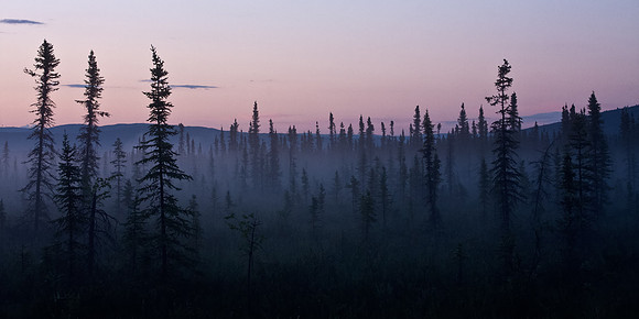 Midnight Sun in Interior Alaska's Goldstream Valley