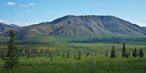 Alaska's Denali National Park