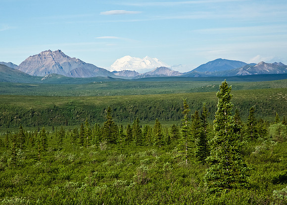 Alaska's Denali