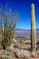 Arizona's Lake Roosevelt