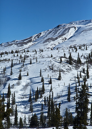 Snow Dusts Denali's Hills