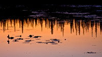 Interior Alaska Lake at Sunset
