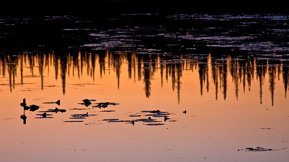 Interior Alaska Lake at Sunset