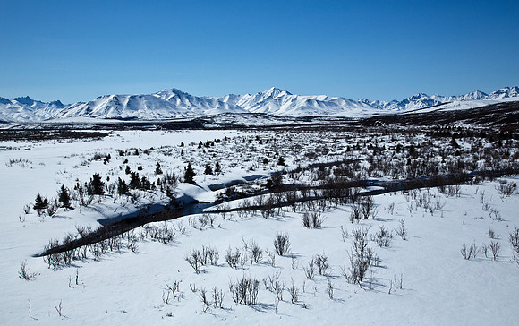 Savage River in Alaska's Denali National Park
