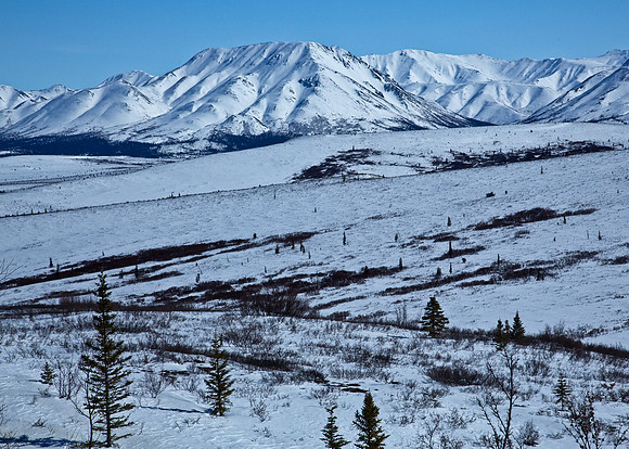 Denali National Park