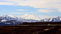 Alaska's Denali Park Road