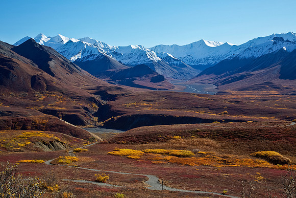 Autumn in Alaska's Denali National Park