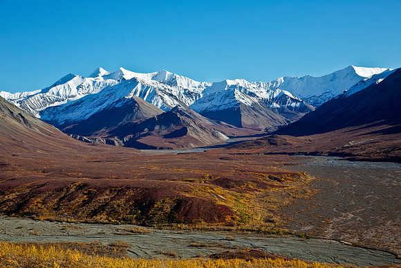 Denali National Park in Autumn