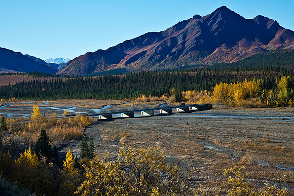 The Teklanika River in Autumn