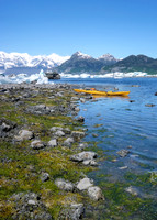 Kayak in Alaska's Prince William Sound