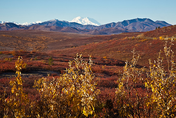 Alaska's Denali in Autumn
